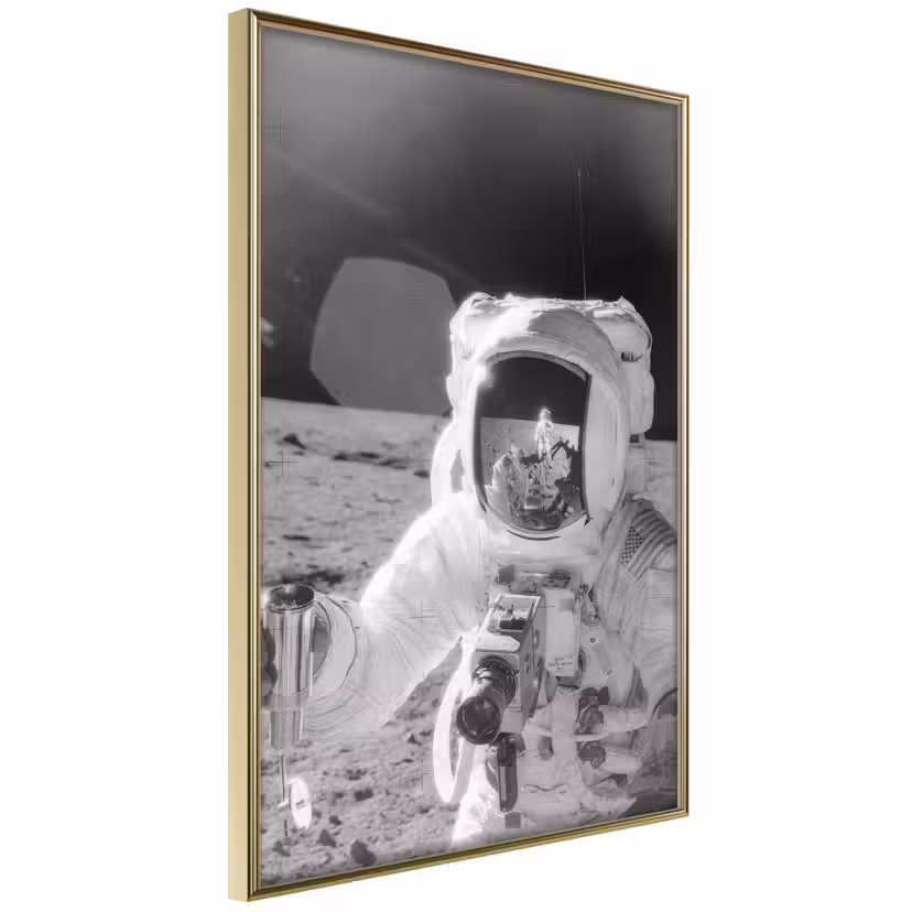 Poster Artgeist Affisch Profession of Astronaut Guld ram, 30x45 cm