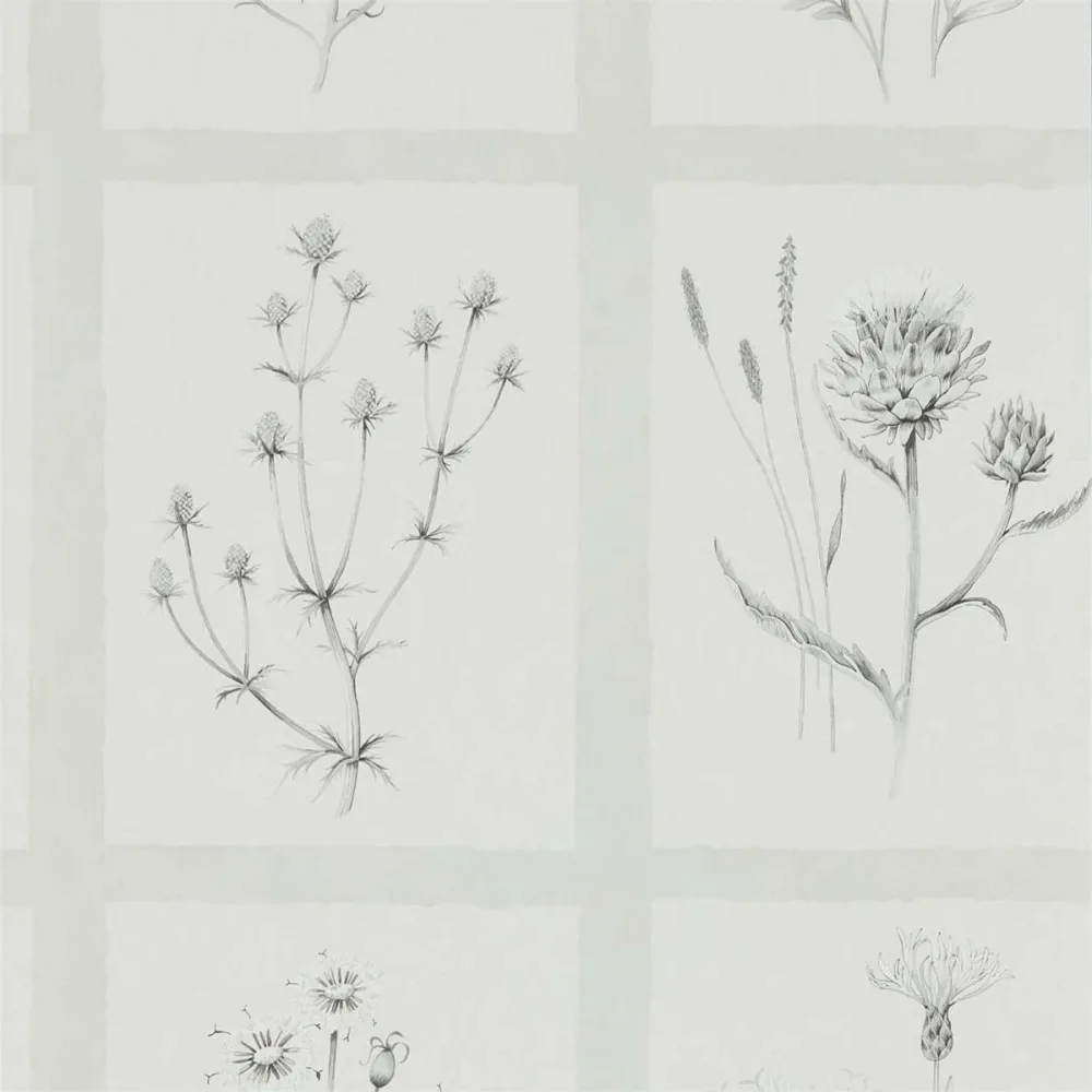 Embleton Bay Little Thistles Debb216512 Tapet | Stuvbutiken