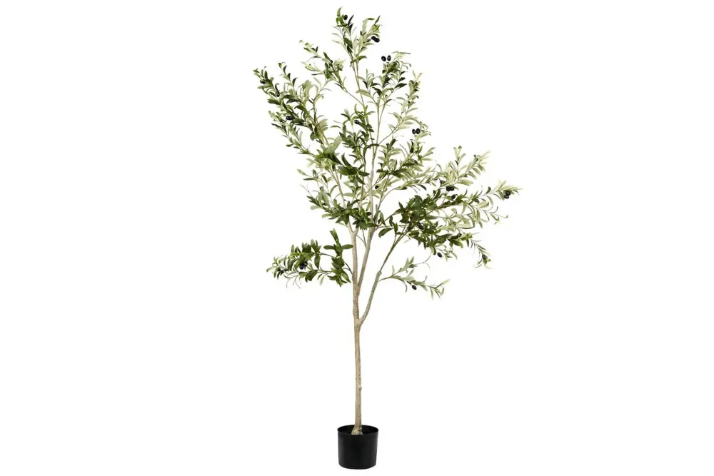 Konstgjord växt Olive Tree 75x75x178 cm