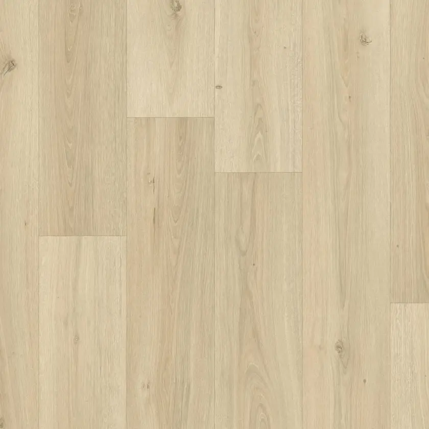 Powell Oak, Blonde 2m bred | Iconik T-Extra
