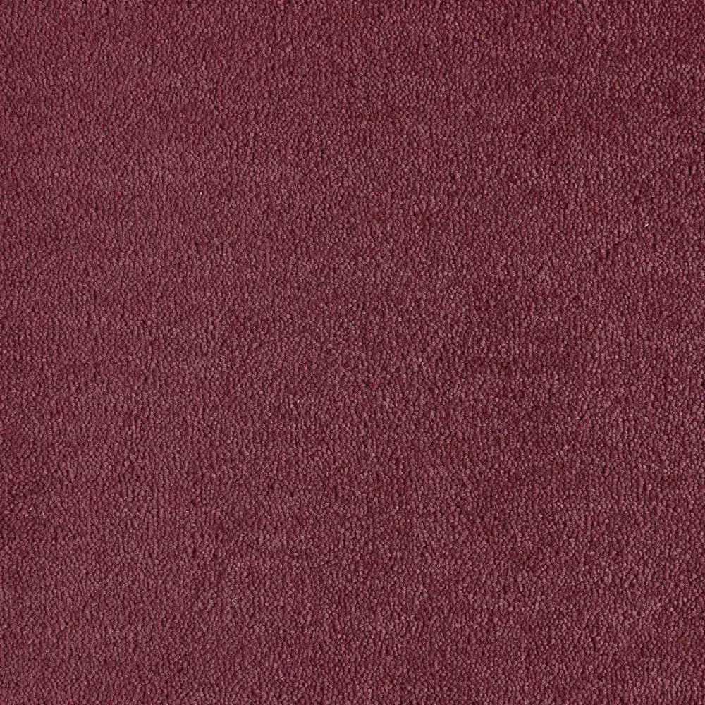 Heltäckningsmatta Dream Coral 2 122 500cm | Stuvbutiken