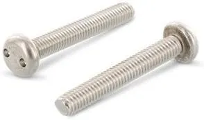 Schäfer & Peters 91012612 Säkerhetsskruv M6, med cylinderhuvud, A2, 100-pack M6 x 12 mm - Bild 2