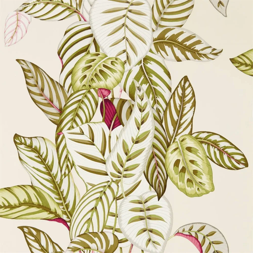 Glasshouse Calathea Dglw216631 Tapet | Stuvbutiken