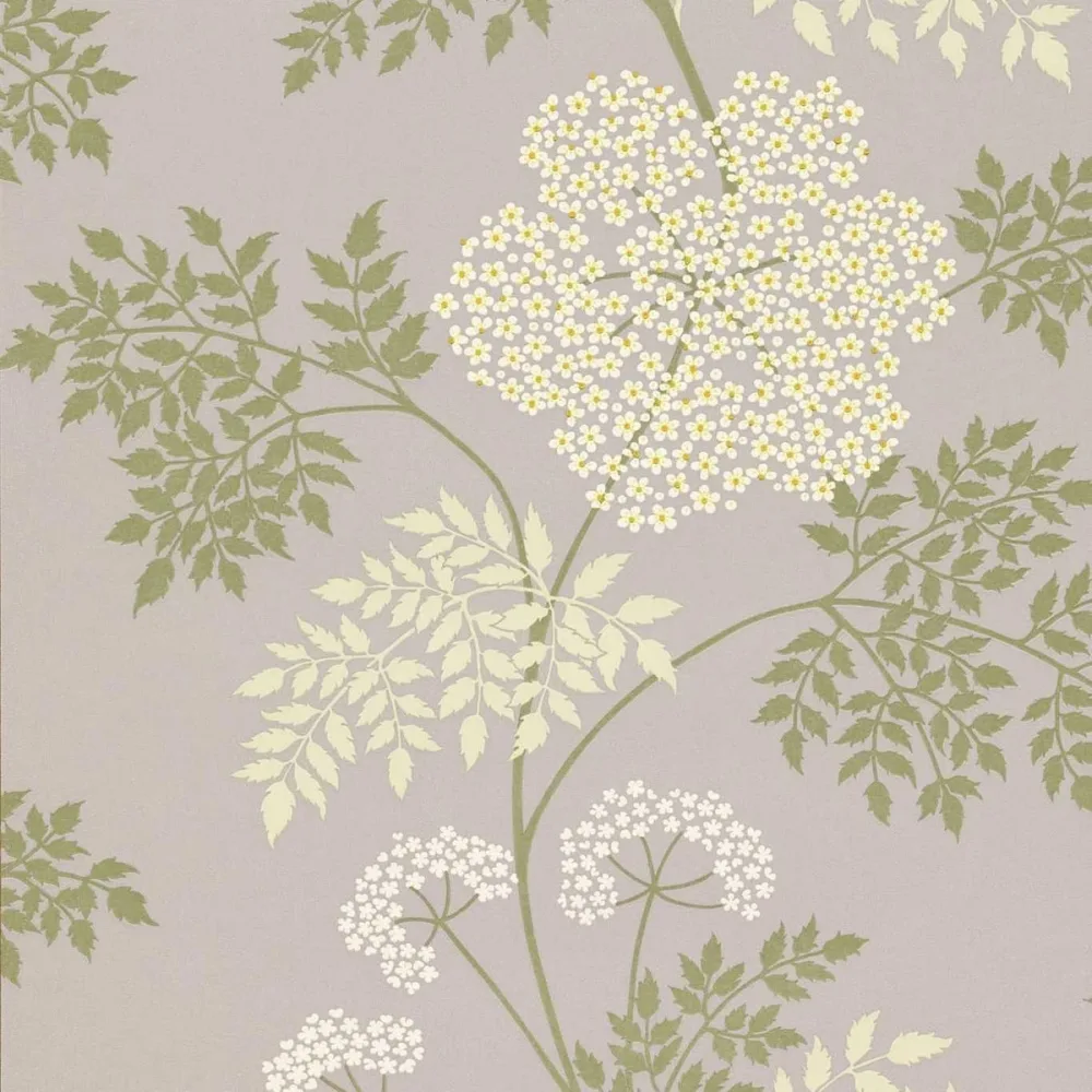 Sanderson One Sixty Cowparsley Dopwco103 Tapet | Stuvbutiken