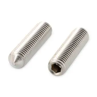 Schäfer & Peters 402742 3 Stoppskruv MS6SS A4, ISO 4027 (DIN 914) M2 x 3 mm, 500-pack