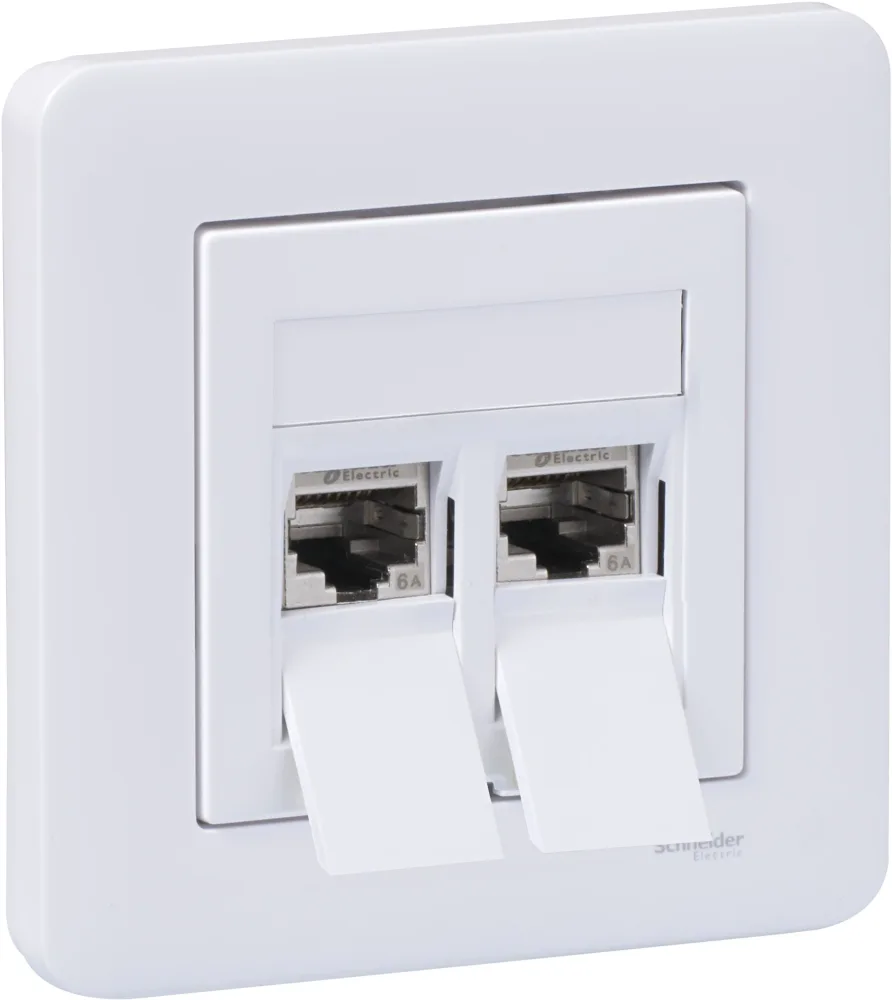 Schneider Electric WDE002438 Modularuttag med heltäckplatta Lutande
