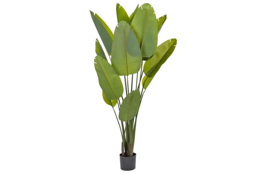 Konstgjord växt Banana Tree Grön/Svart, 115x115x187 cm
