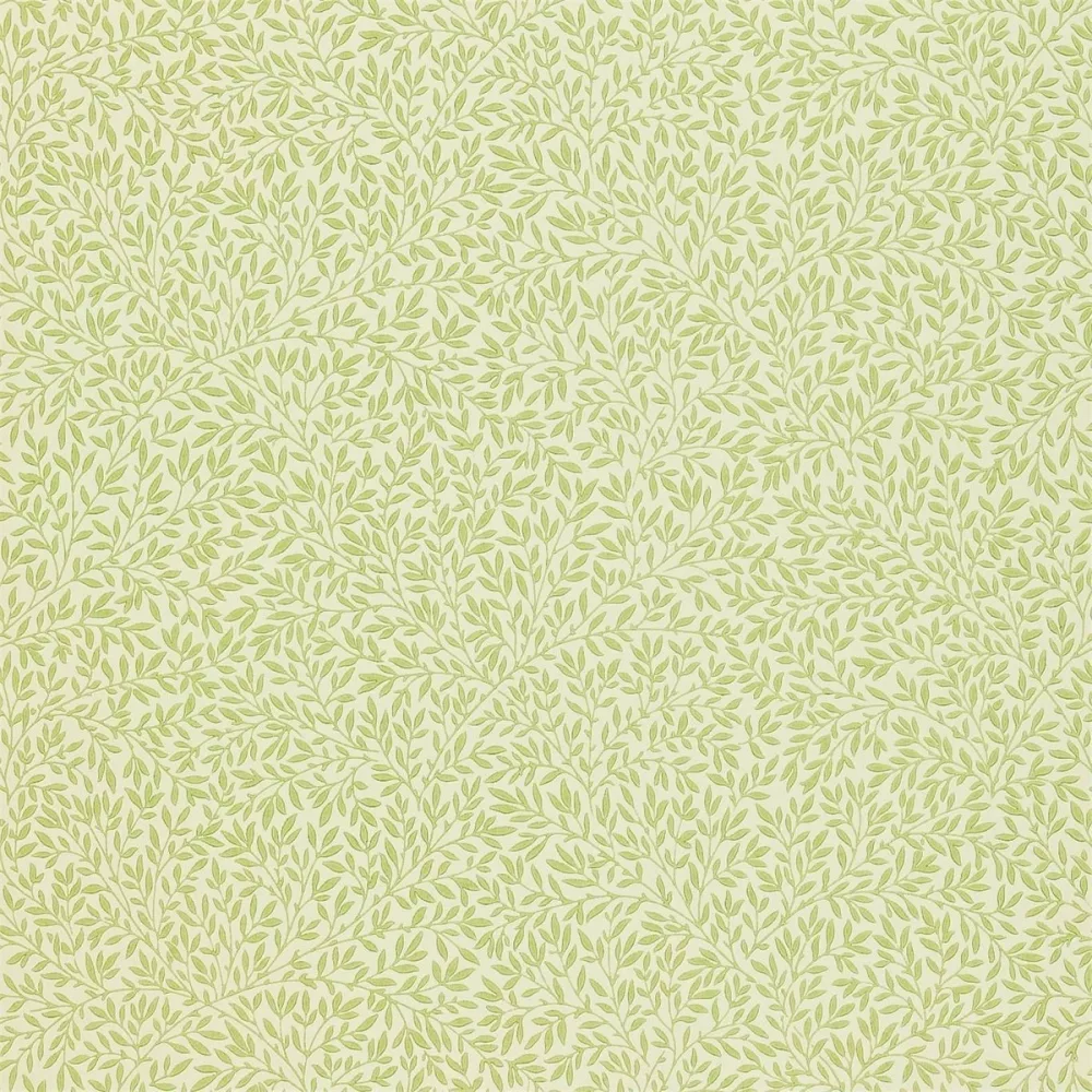 Compilation Standen Fennel Dcmw216833 Brun Tapet | Stuvbutiken