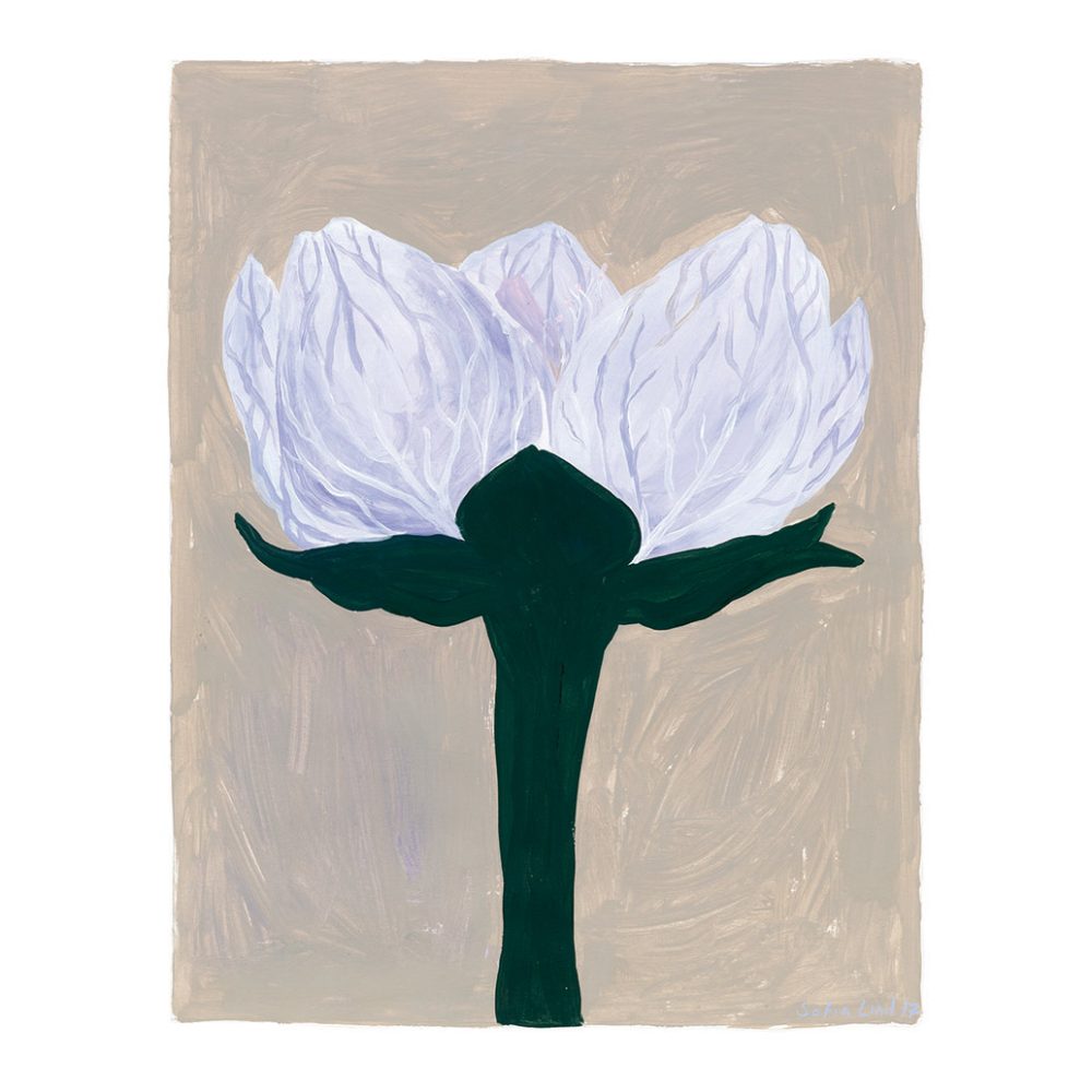 Slåtterblomma poster, 40x50 cm