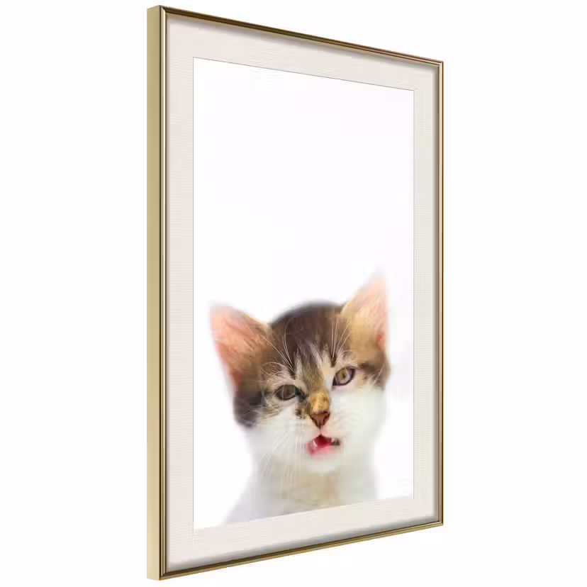 Poster Artgeist Affisch Vexed Cat Guld ram med passepartout, 30x45 cm