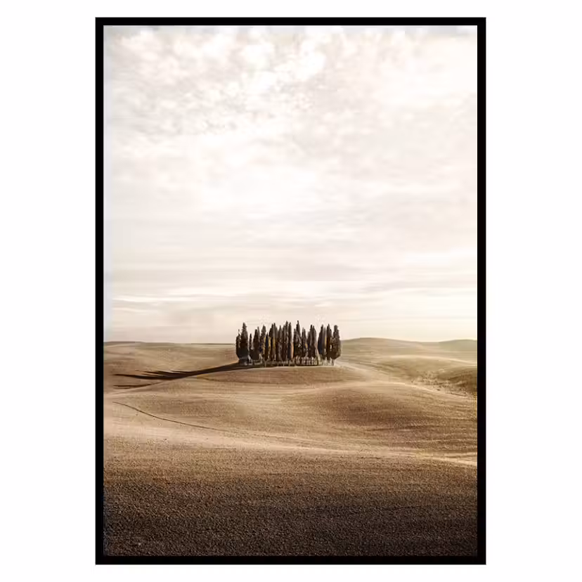 Poster Gallerix Cypress trees Storlek: 21x30 cm