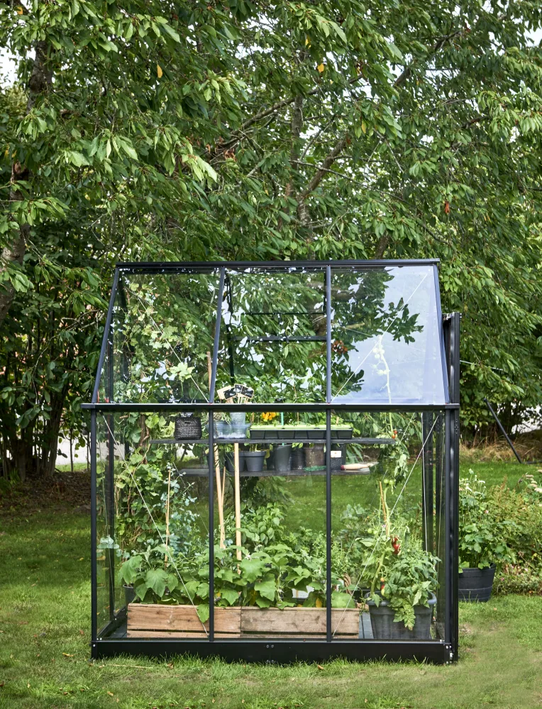 Halls Qube 66 F09816 Växthus 3,9 m², svart