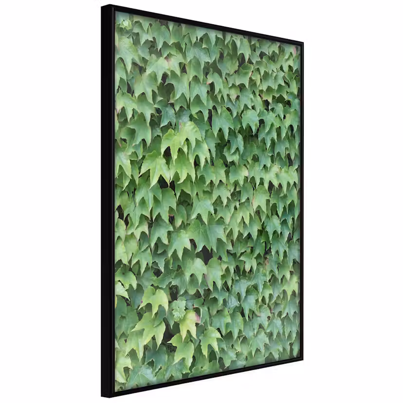Poster Artgeist Affisch Thick Ivy Svart ram, 40x60 cm