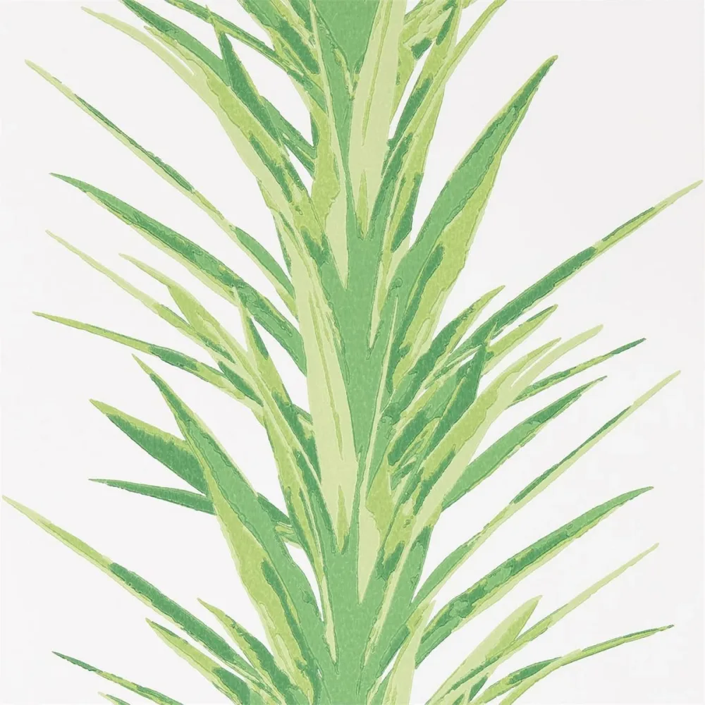 Glasshouse Yucca Dglw216649 Tapet | Stuvbutiken