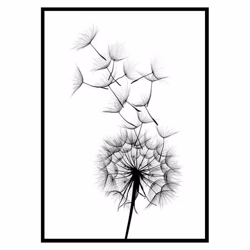 Poster Gallerix Dandelion Wish Storlek: 30x40 cm