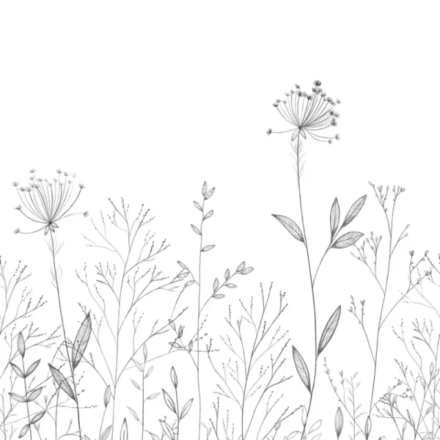 Caselio - Caselio - Field Line Noir Et Blanc 200X250
