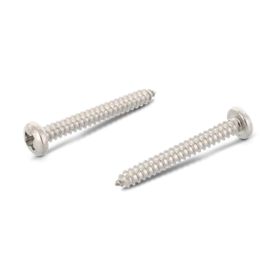 Schäfer & Peters 7981405538 Skruv 5,5 mm, RXS A4 ST, DIN 7981 C 5,5 x 38 mm, 500-pack - Bild 2